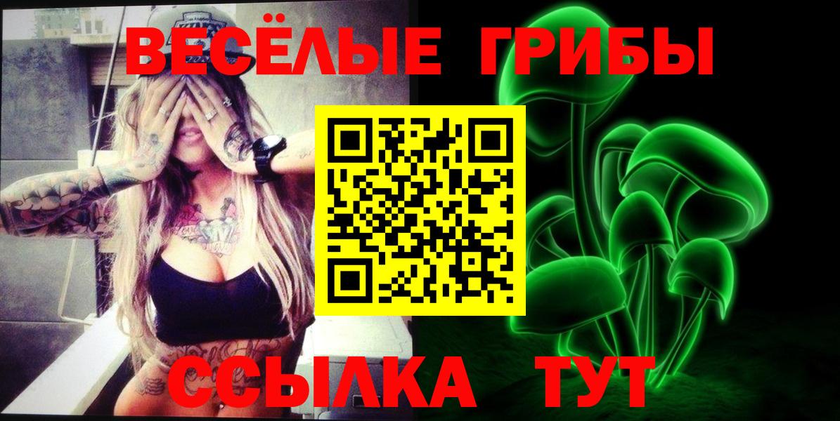 Псилоцибиновые грибы Cubensis  Вход с VPN  Самара 